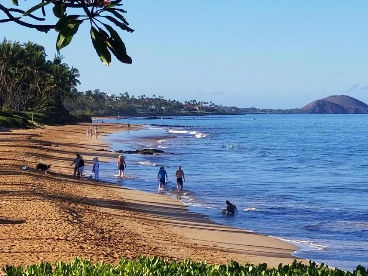 Holiday home Hale Kamaole 222 Villa Wailea
