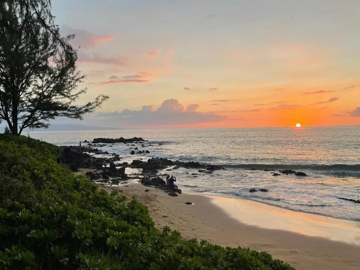 Hale Kamaole 222 Villa Wailea  United States